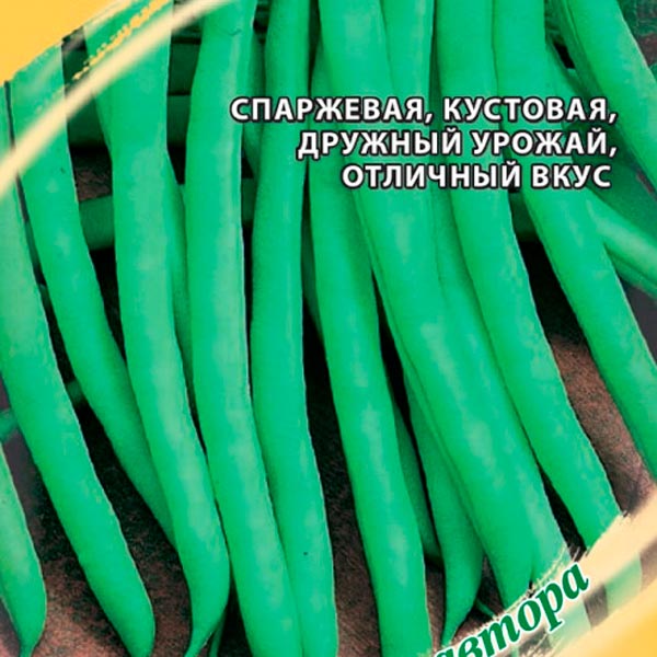 Технология выращивания культуры в домашних условиях